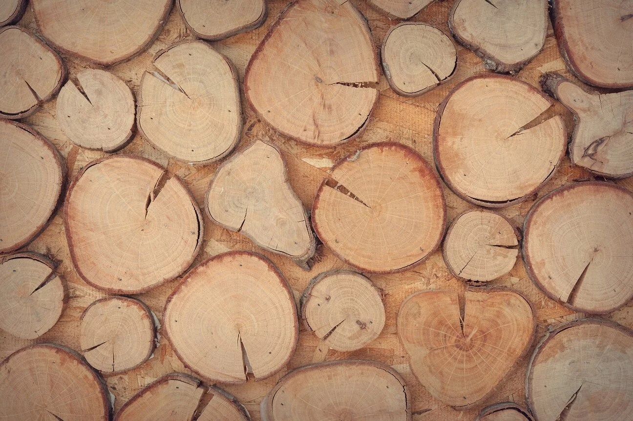 Logs of wood cut into small pieces stacked next to each other